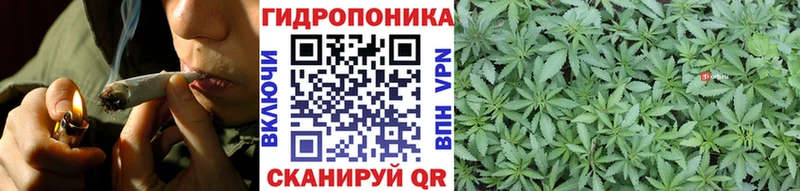 Каннабис индика  Нелидово 